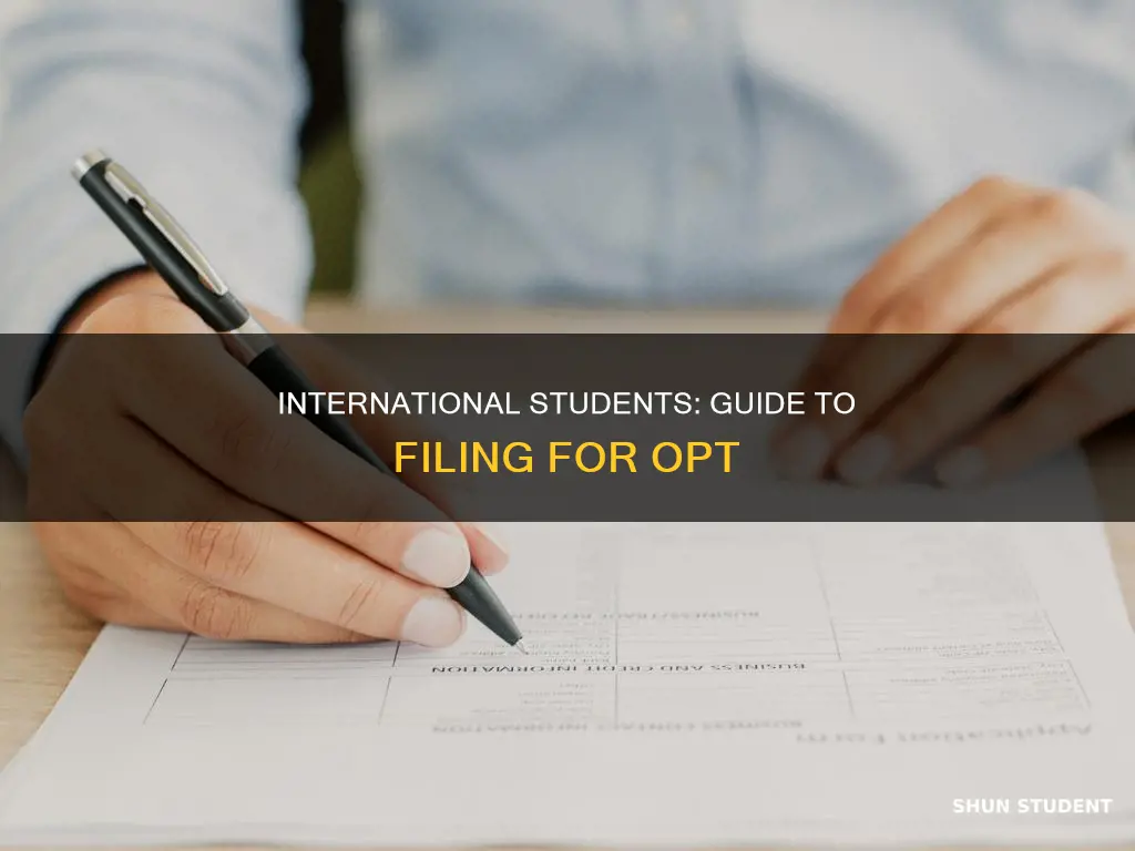 how to file opt international students