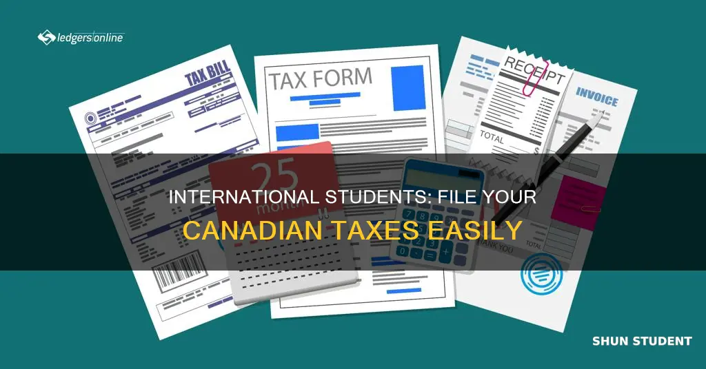 how to file tax for international student in canada