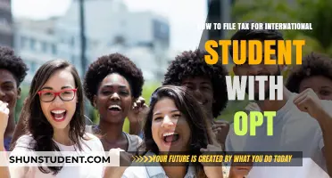 International Students: File Taxes with OPT