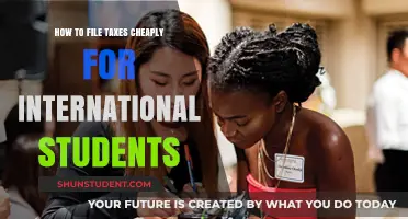 Filing Taxes as an International Student: Affordable Options