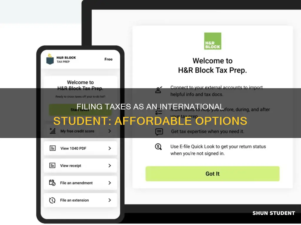 how to file taxes cheaply for international students