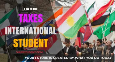 International Students: File Taxes Easily
