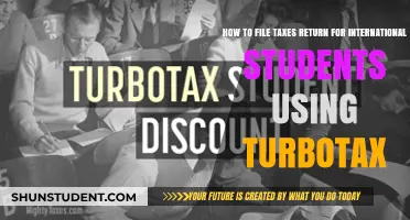 Filing Tax Returns: Turbotax for International Students