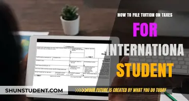 Filing Tuition Tax Returns: A Guide for International Students