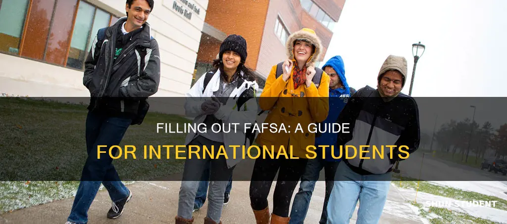 how to fill fafsa for international students