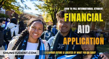 International Student Aid: Application Filling Guide
