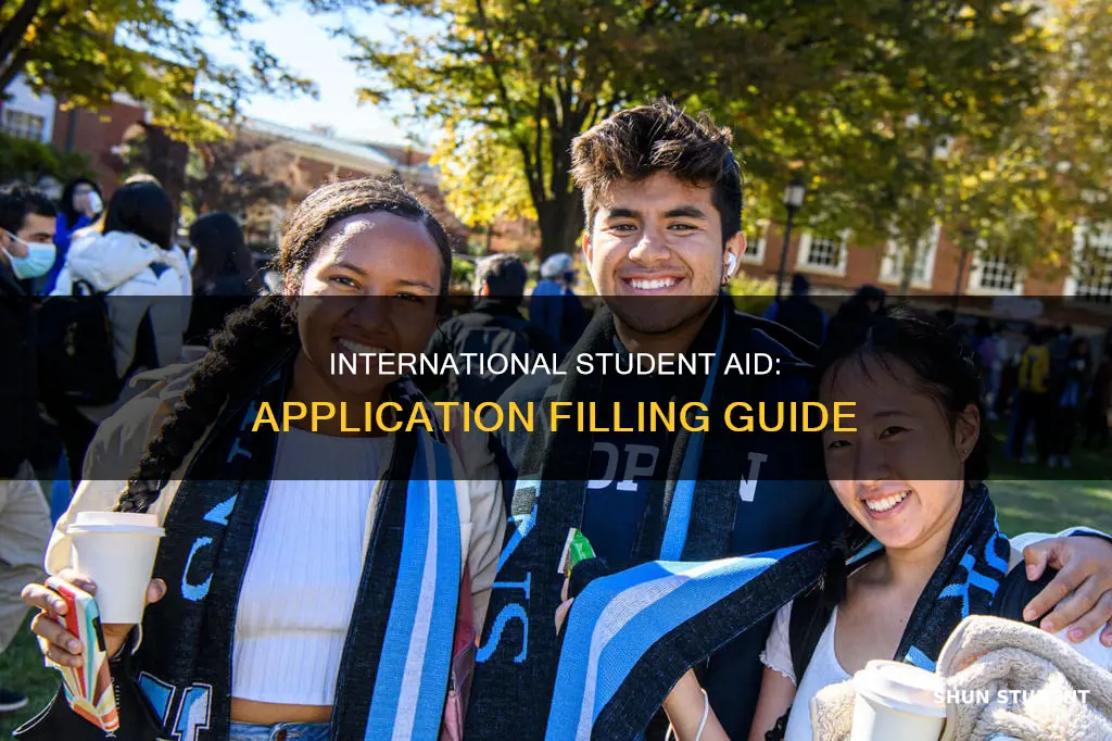 how to fill international student financial aid application