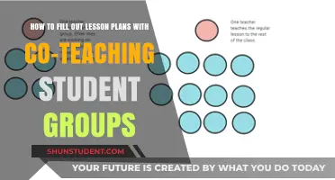 Co-Teaching Strategies: Crafting Collaborative Lesson Plans for Student Groups