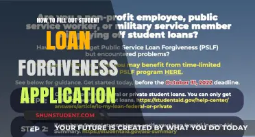 Mastering the Student Loan Forgiveness Application: A Step-by-Step Guide