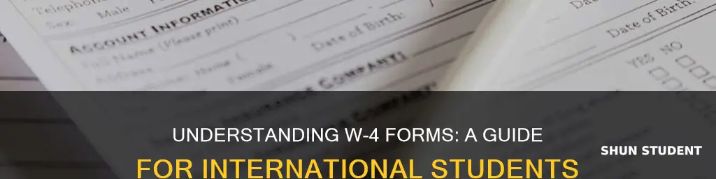 how to fill out w4 form for international students