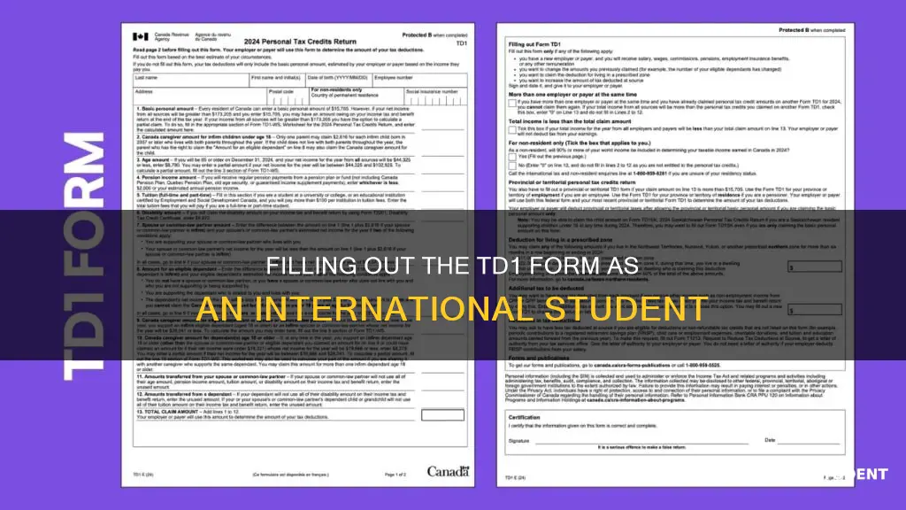 how to fill td1 form international student