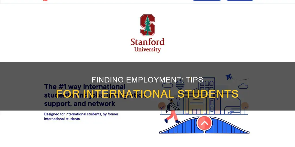 how to find a job as an international student