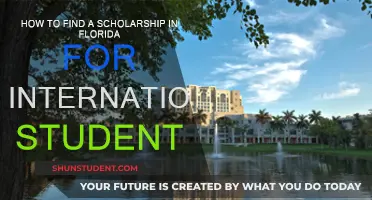 International Students: Finding Florida Scholarships