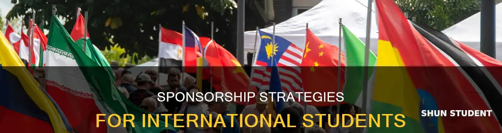 how to find a sponsor international student