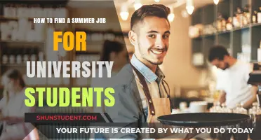 Summer Job Hunting: Tips for University Students