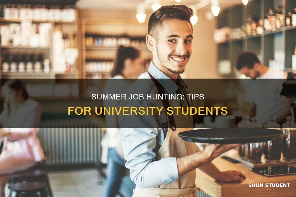 how to find a summer job for university students