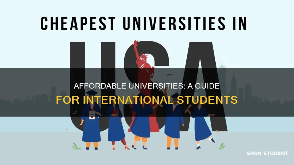 how to find affordable university for international students
