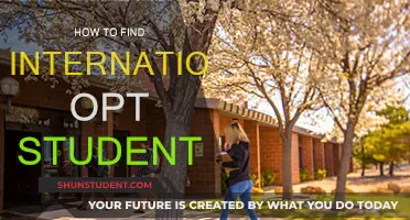 Discovering International OPT Students: A Guide