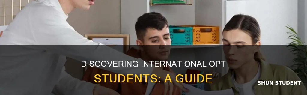 how to find international opt students
