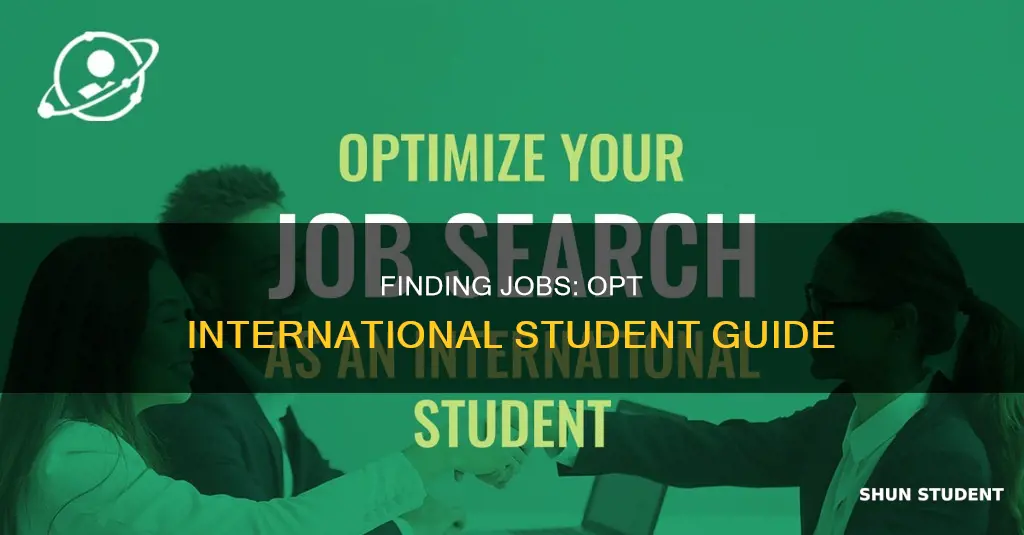 how to find jobs for international students in opt