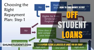 Finding Funds to Repay Student Loans