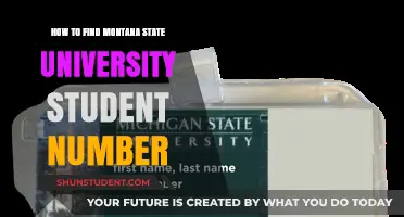 Finding Your Student Number at Montana State University