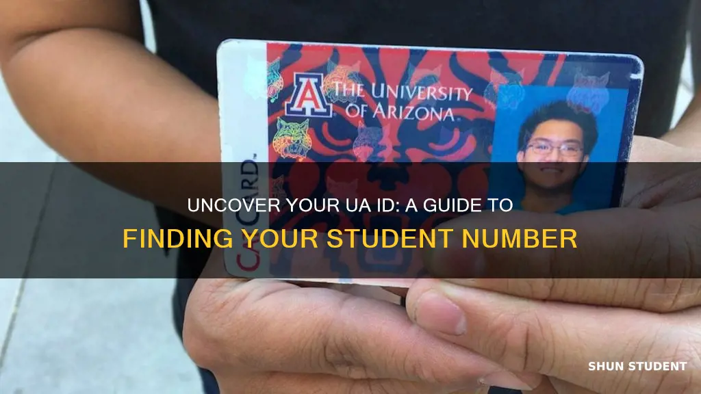 how to find my student id number university of arizona