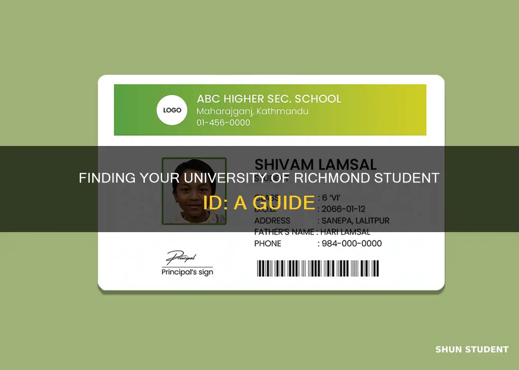 how to find my student id university of richmond