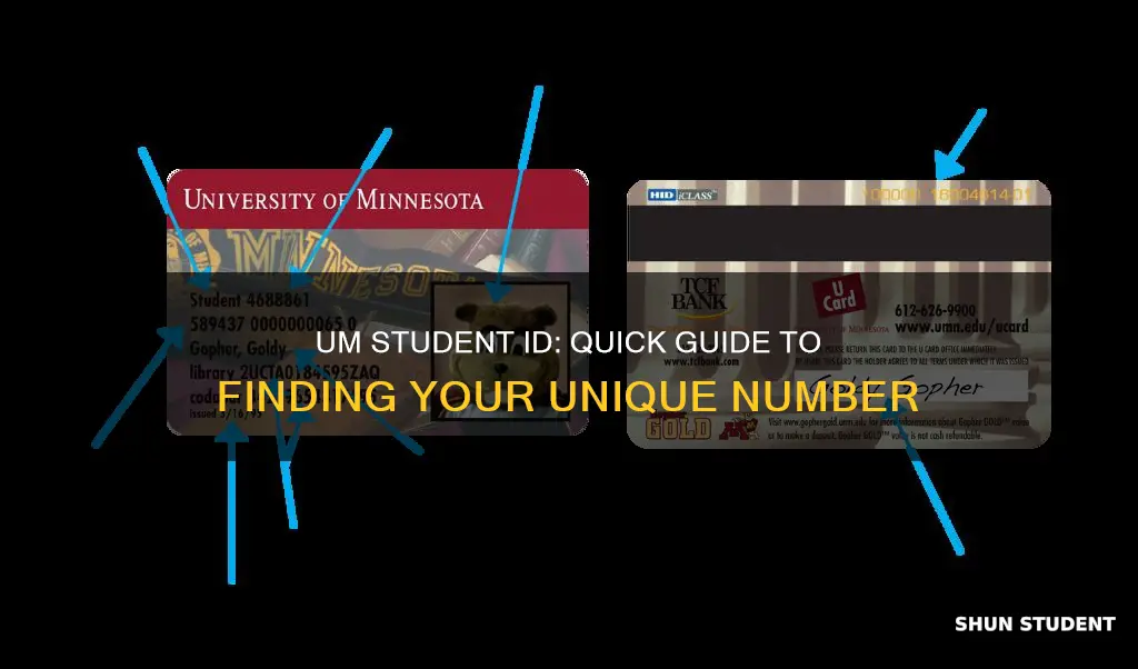 how to find my university of minnesota student id number