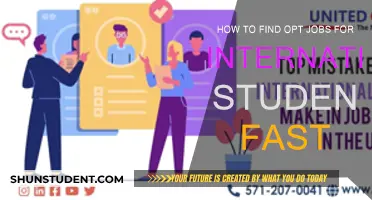Finding OPT Jobs: Quick Guide for International Students