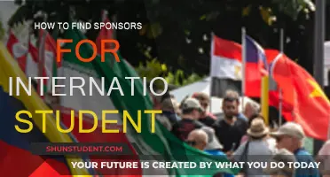 Sponsorship Strategies for International Students