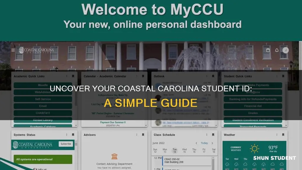 how to find student id coastal carolina university