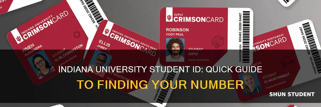 how to find student id number indiana university