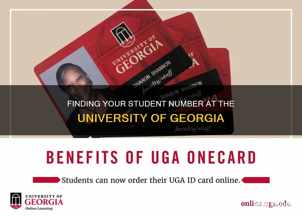 how to find student number university of georgia