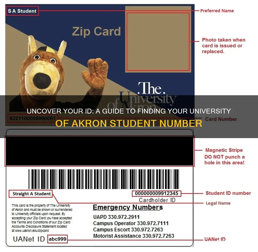 how to find university of akron student id number