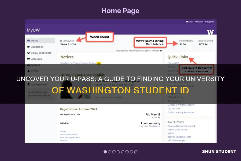 how to find university of washington student id