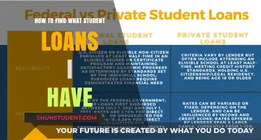 Discovering Your Student Loans: A Comprehensive Guide