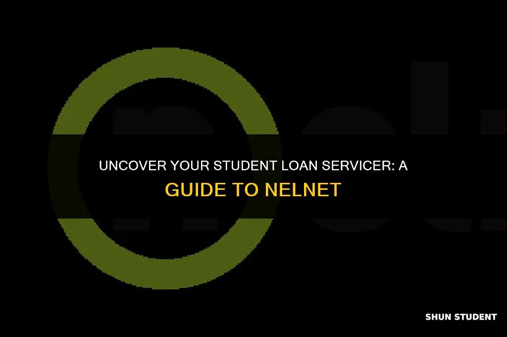 how to find who my student loans is with nelnet