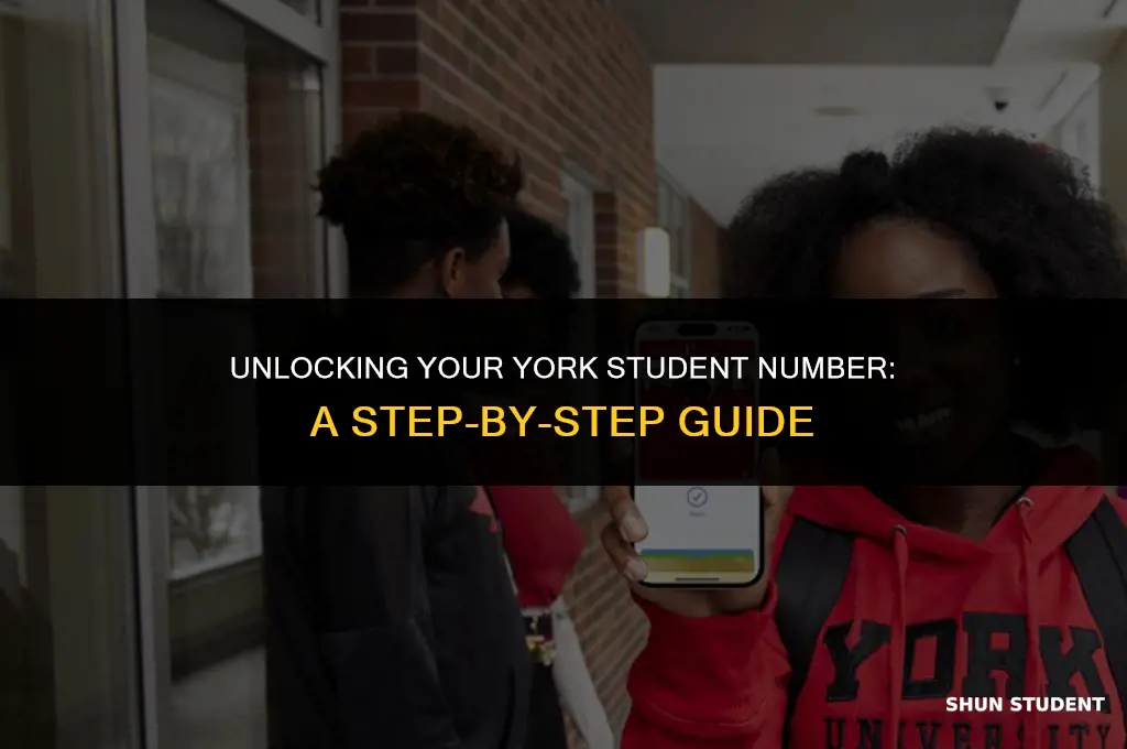 how to find york student number