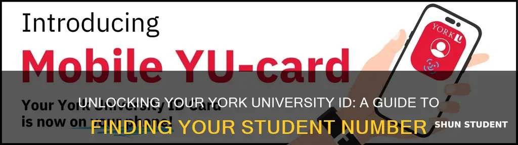 how to find york university student number