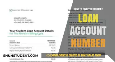 Locate Your Student Loan Account Number: A Step-by-Step Guide