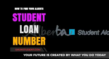 Locating Your Alberta Student Loan Number: A Simple Guide