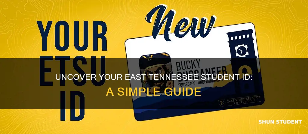 how to find your east tennessee state university student number