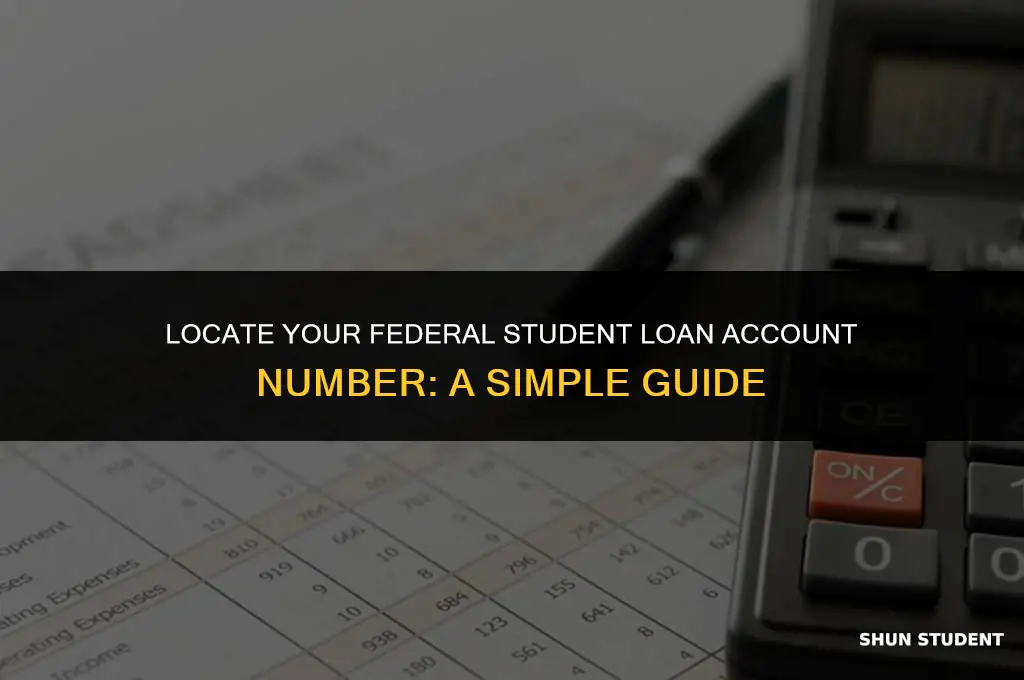how to find your federal student loan account number