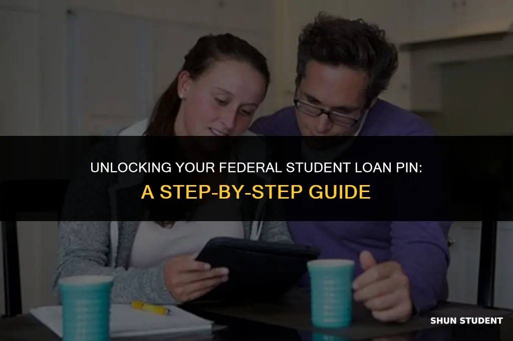 how to find your federal student loan pin
