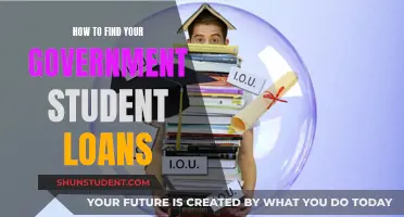 Decoding Your Government Student Loans: A Step-by-Step Guide
