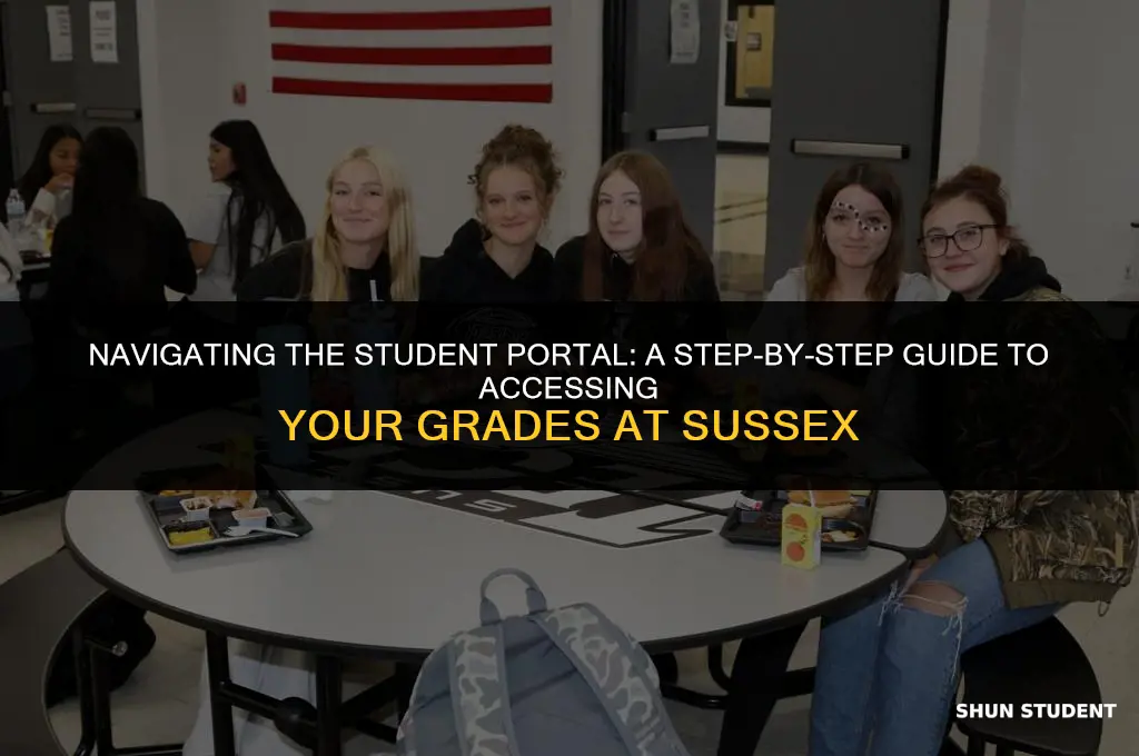 how to find your grades in the student portal sussex