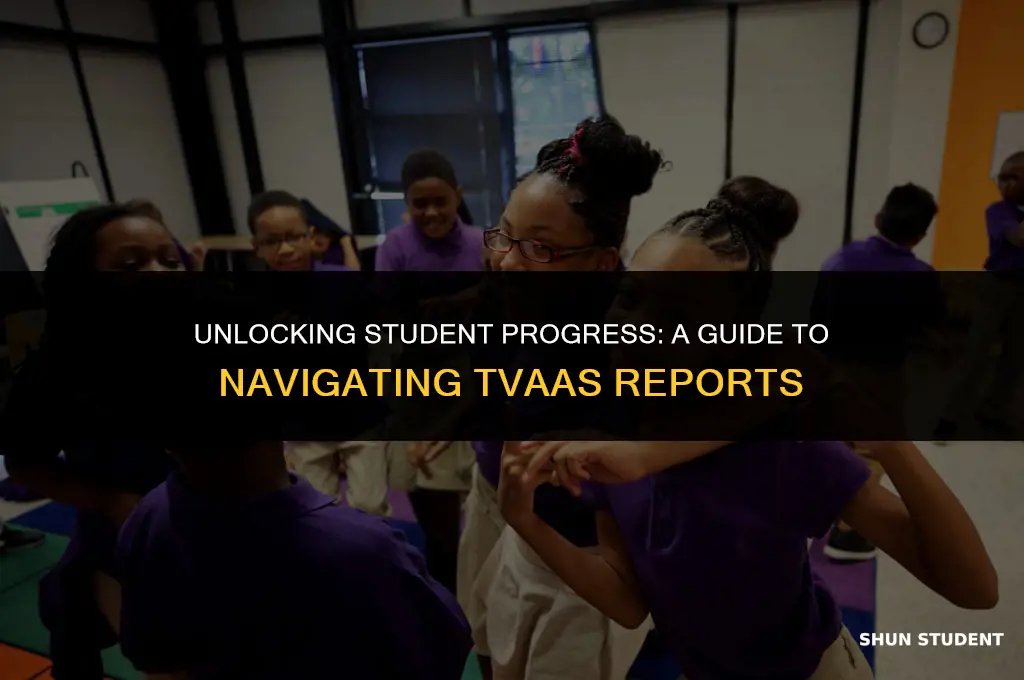how to find your individual students on tvaas report