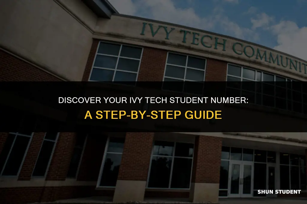 how to find your ivy tech student number
