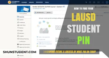 Unlocking Your LAUSD Student PIN: A Step-by-Step Guide